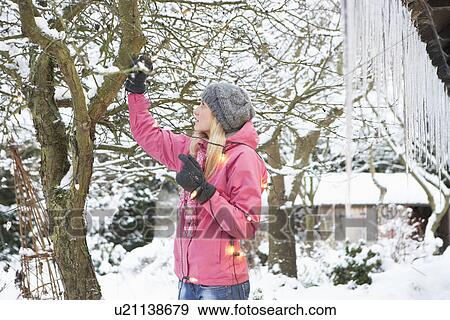 Stock Photo - Teenage Girl Hanging Fairy Lights In Tree With Icicles In Foreground. Fotosearch