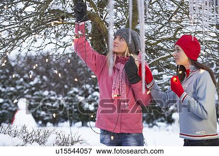 Two Teenage Girls Hanging Fairy Lights In Tree With Icicles In Foreground View Large Photo Image Stock Photo - Two Teenage Girls Hanging Fairy Lights In Tree With Icicles In Foreground. Fotosearch