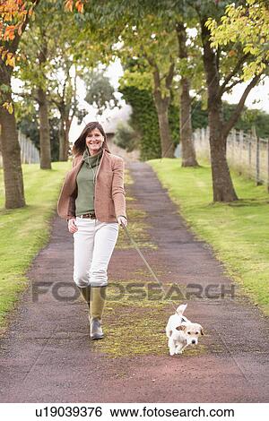 Woman Taking Dog For Walk Outdoors In Autumn Park View Large Photo Image Stock Photograph - Woman Taking Dog For Walk Outdoors In Autumn Park. Fotosearch