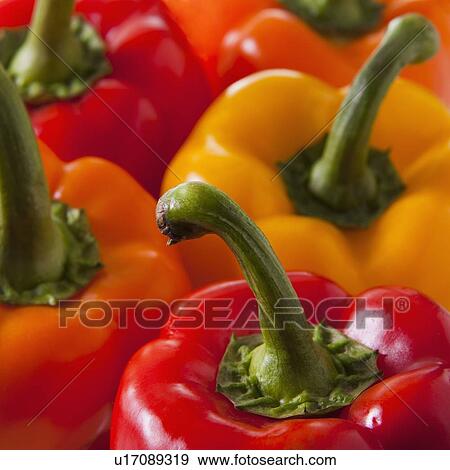 Stock Photo - Bell peppers. Fotosearch