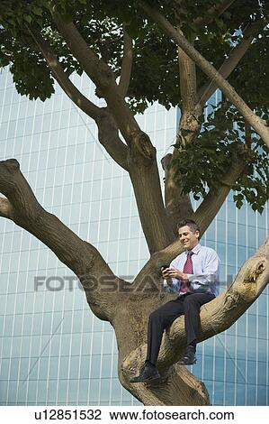 Businessman sitting in tree View Large Photo Image Stock Image - Businessman sitting in tree. Fotosearch