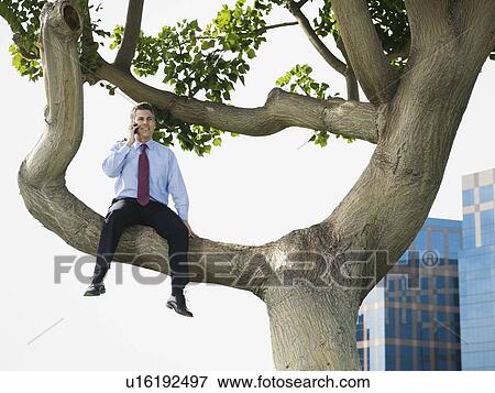 Businessman sitting in tree View Large Photo Image Stock Photo - Businessman sitting in tree. Fotosearch