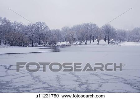 Stock Image - Central Park in winter. Fotosearch