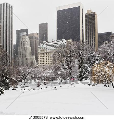Central Park in winter View Large Photo Image Stock Image - Central Park in winter. Fotosearch