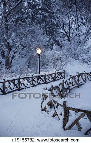 Stock Image - Central park in winter. Fotosearch
