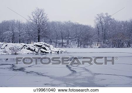 Central Park in winter View Large Photo Image Stock Image - Central Park in winter. Fotosearch