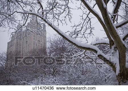 Central park in winter View Large Photo Image Stock Photograph - Central park in winter. Fotosearch