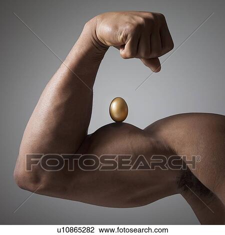 Stock Image - Golden egg perched on a flexed muscular arm. Fotosearch