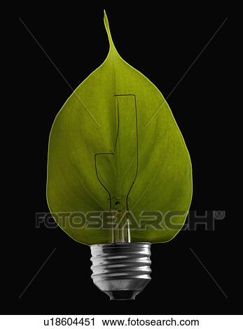 Green leaf inside a light bulb View Large Photo Image Stock Image - Green leaf inside a light bulb. Fotosearch