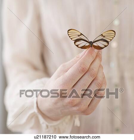 Stock Image - Hand holding butterfly. Fotosearch