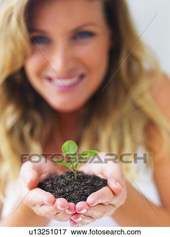 Hands holding sapling View Large Photo Image Stock Photo - Hands holding sapling. Fotosearch