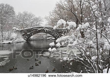Lake and bridge in winter View Large Photo Image Stock Photograph - Lake and bridge in winter. Fotosearch