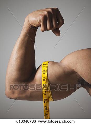 Stock Photograph - Measuring tape raped around a man's triceps. Fotosearch