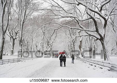Stock Photo - People walking in Central Park in winter. Fotosearch