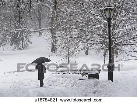 Person walking in snowy park View Large Photo Image Stock Image - Person walking in snowy park. Fotosearch