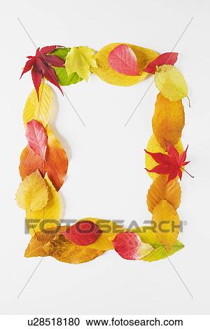 Stock Image - Rectangle of autumn leaves. Fotosearch