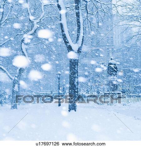 Stock Photograph - Snowy day in a park. Fotosearch