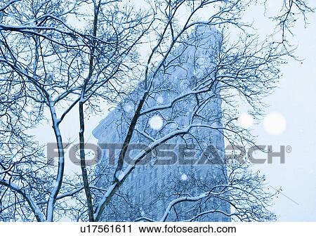 Snowy tree in urban setting View Large Photo Image Stock Image - Snowy tree in urban setting. Fotosearch