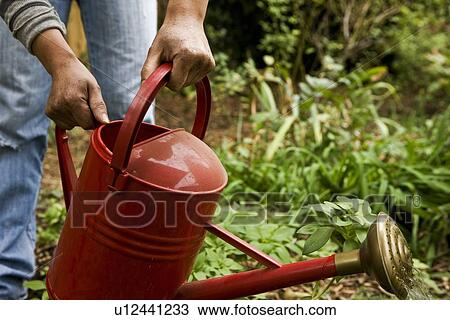 Stock Image - Watering the garden. Fotosearch