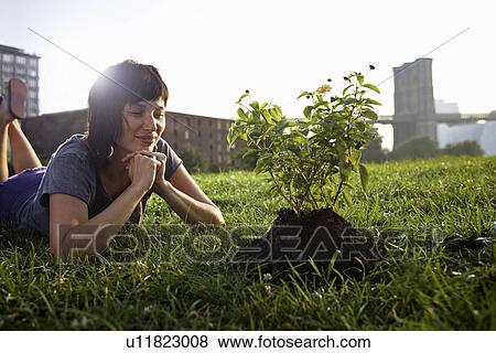 Stock Photo - Woman looking at aspen sapling on grass. Fotosearch