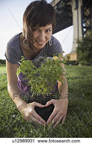 Stock Image - Woman planting aspen sapling. Fotosearch