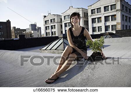 Woman sitting on rooftop beside aspen sapling View Large Photo Image Stock Photography - Woman sitting on rooftop beside aspen sapling. Fotosearch