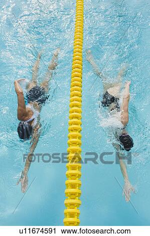 Stock Image - Women swimming laps in pool. Fotosearch