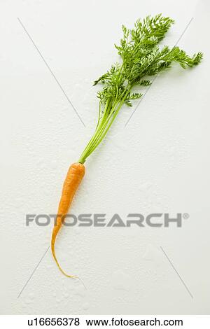 Stock Photo - A Carrot. Fotosearch