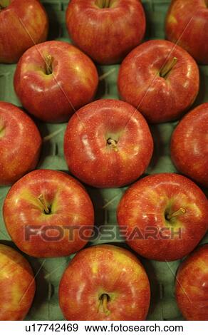 Apples, close up, full frame View Large Photo Image Stock Photo - Apples, close up, full frame. Fotosearch