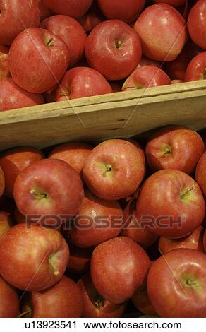 Apples in boxes, close up, full frame View Large Photo Image Stock Image - Apples in boxes, close up, full frame. Fotosearch