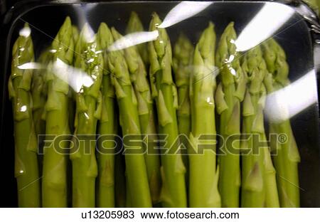 Asparagus View Large Photo Image Stock Image - Asparagus. Fotosearch