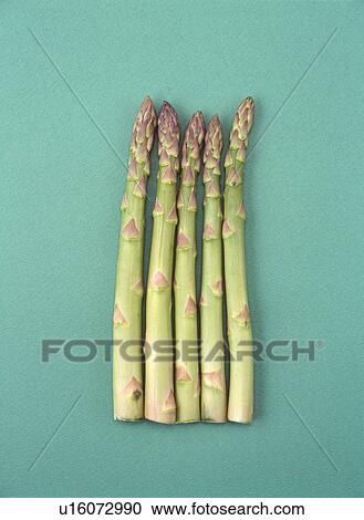 Asparagus View Large Photo Image Stock Image - Asparagus. Fotosearch