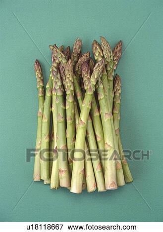 Stock Photo - Asparagus. Fotosearch