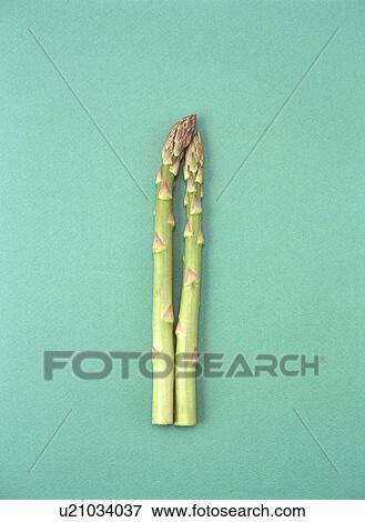Stock Photo - Asparagus. Fotosearch