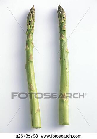 Stock Photo - Asparagus. Fotosearch