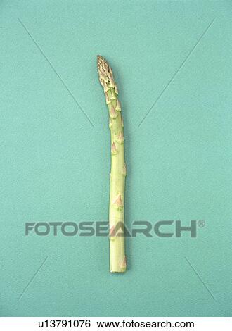Asparagus View Large Photo Image Stock Photograph - Asparagus. Fotosearch