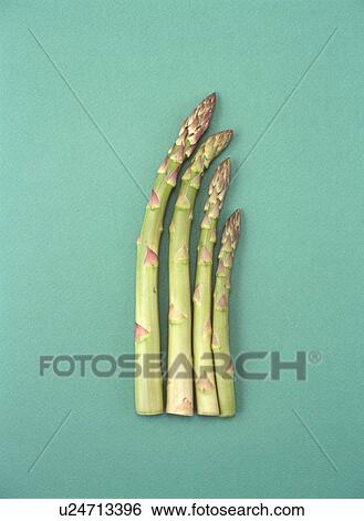 Stock Photograph - Asparagus. Fotosearch