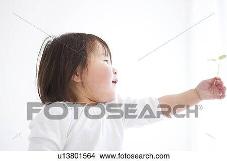Baby girl holding sapling View Large Photo Image Picture - Baby girl holding sapling. Fotosearch