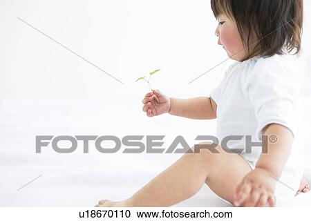 Stock Image - Baby girl holding sapling. Fotosearch