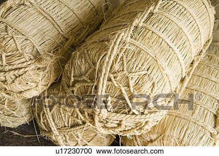 Bales of rice, close up, Otsu city, Shiga prefecture, Japan View Large Photo Image Stock Image - Bales of rice, close up, Otsu city, Shiga prefecture, Japan. Fotosearch