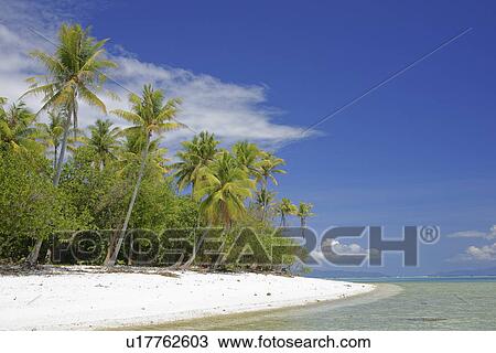 Stock Image - Bora Bora island, Tahiti. Fotosearch