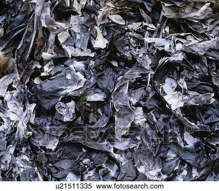 Bunt papers View Large Photo Image Stock Photography - Bunt papers. Fotosearch