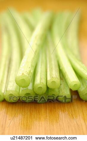 Stock Image - Butterbur Sprout. Fotosearch