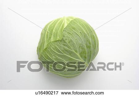 Stock Photo - Cabbage. Fotosearch