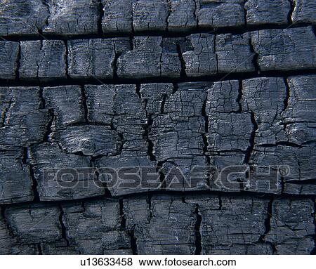 Stock Photo - Carbonized wood grain. Fotosearch