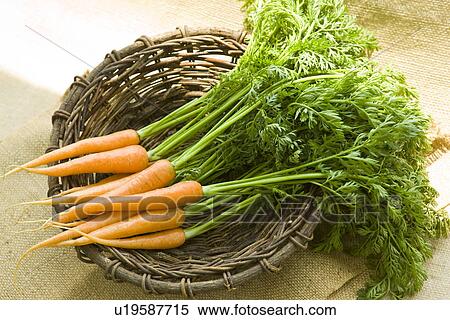 Stock Photography - Carrot in a basket. Fotosearch