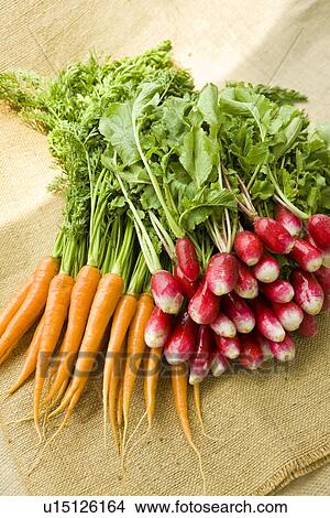 Carrots and Radish View Large Photo Image Picture - Carrots and Radish. Fotosearch