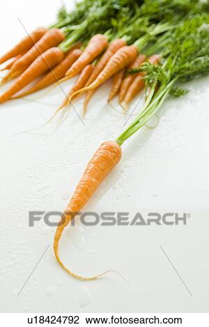 Stock Image - Carrots. Fotosearch