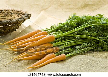 Stock Image - Carrots. Fotosearch
