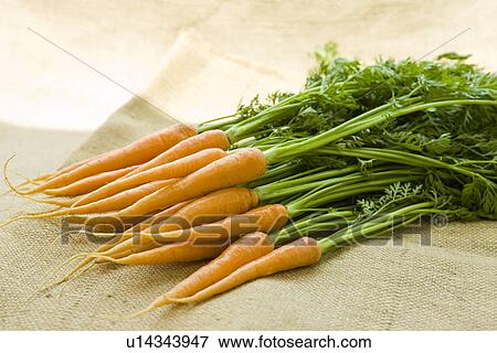Stock Photo - Carrots. Fotosearch